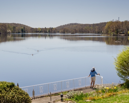 whitetreeblossoms_130502_16