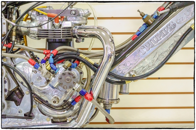 2014favoritescolor-5