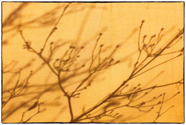 shadowsonumbrellas-1