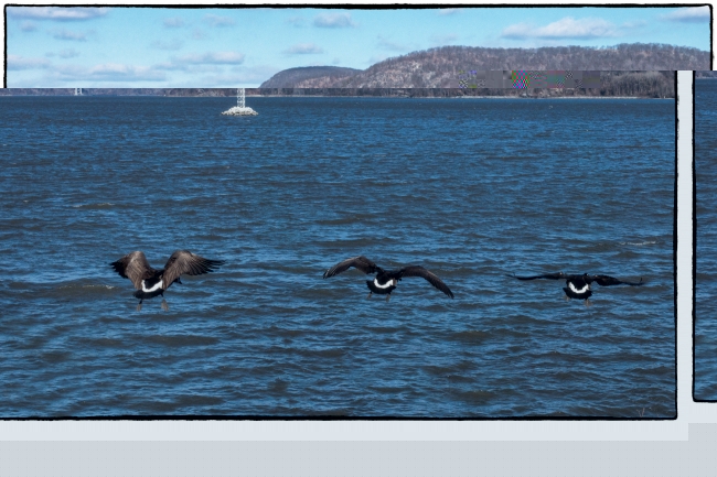 viewfromtraviscove-7