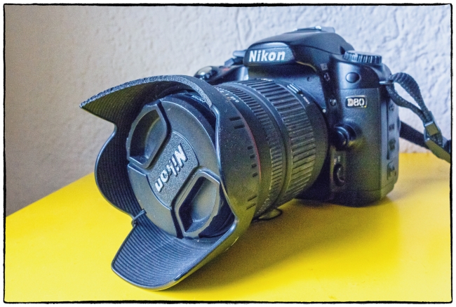 nikond80-