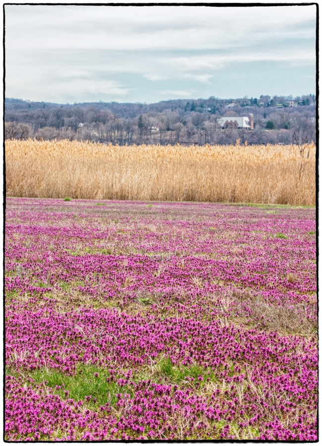 crotonpointviewtomainland-1