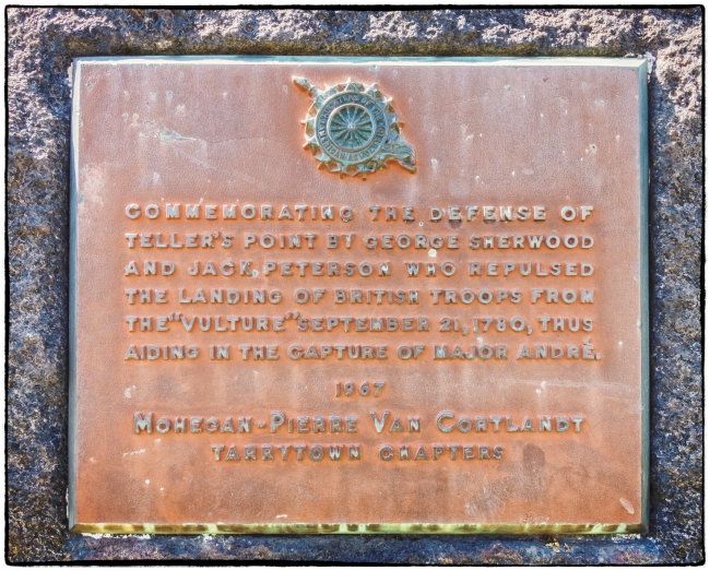 crotonpointvulture-1