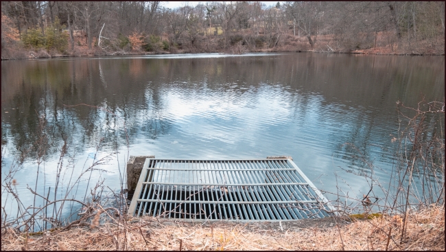 Pond in March