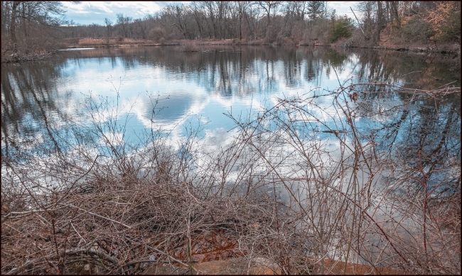 View from the other end of the Pond