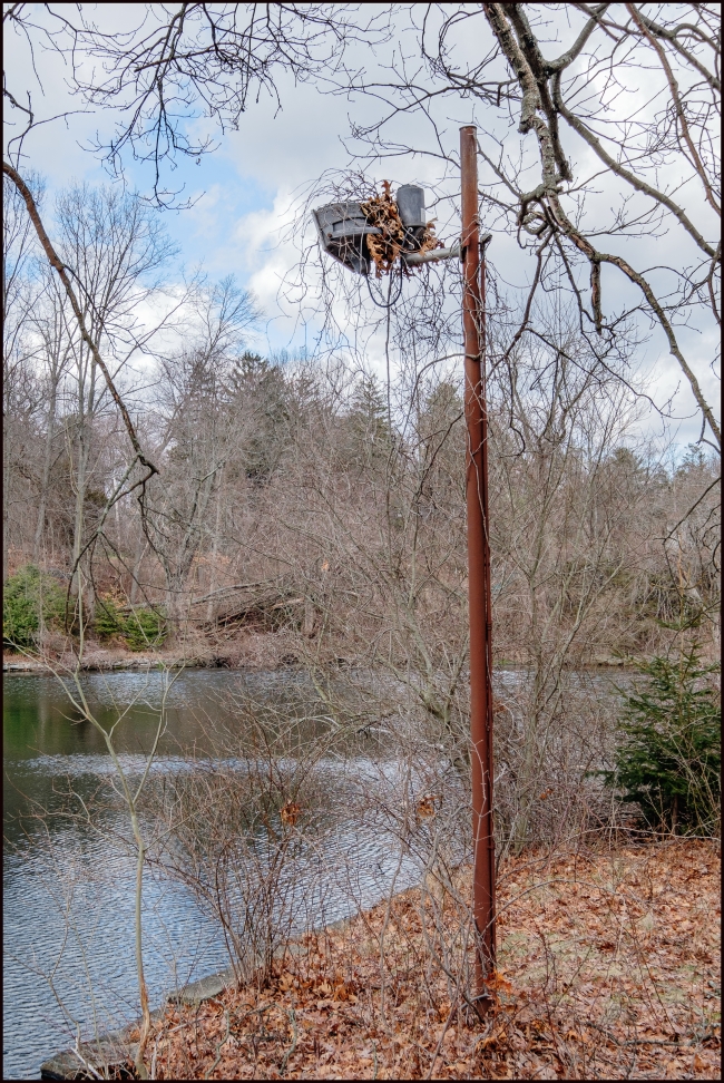 Signs of the Past: A Floodlight: Closer View