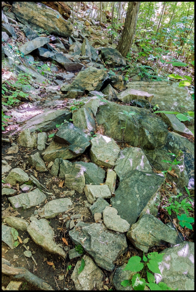 hudsonhighlandswalk-2