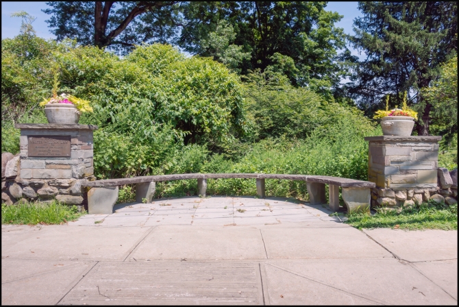 walkhomefrompati-amemorial-1-of-1