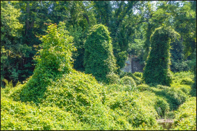 walkhomefrompatio-alongatrail-2-of-3