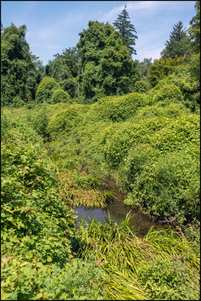 walkhomefrompatio-alongatrail-3-of-3