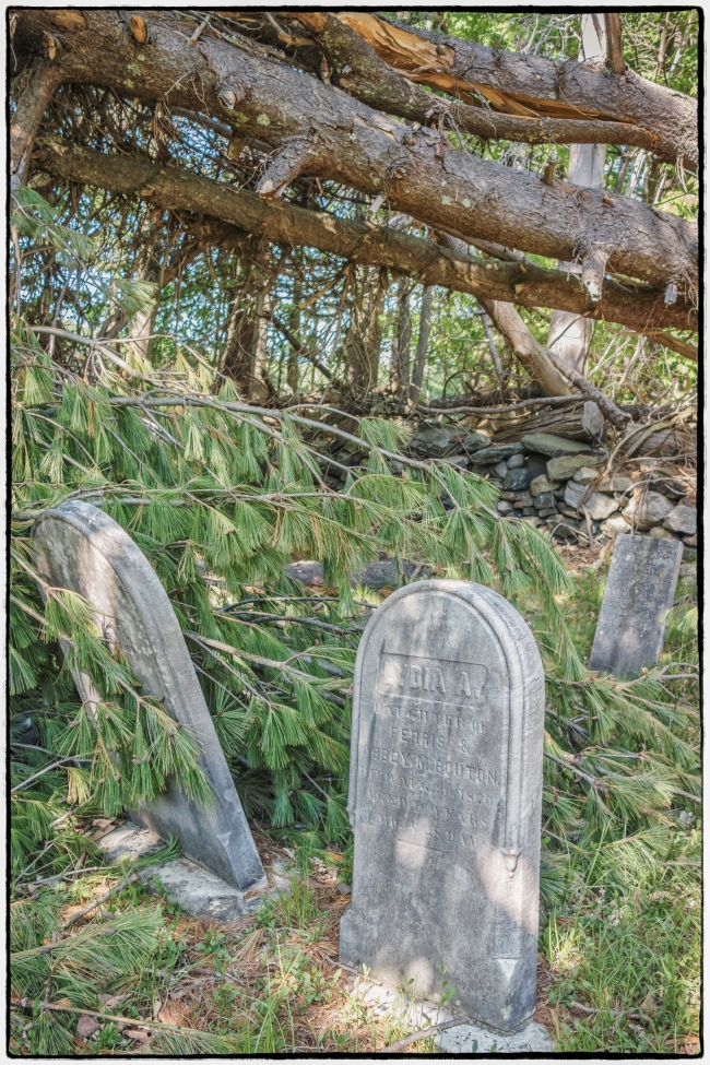 Avery Cemetery Photography, Images and Cameras