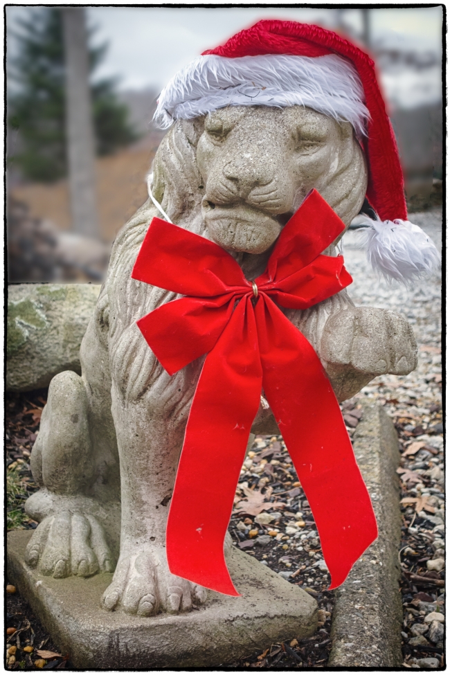 Christmas Lion-1