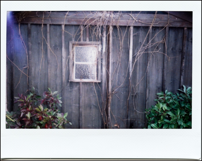 fujiinstax210results-1-of-5