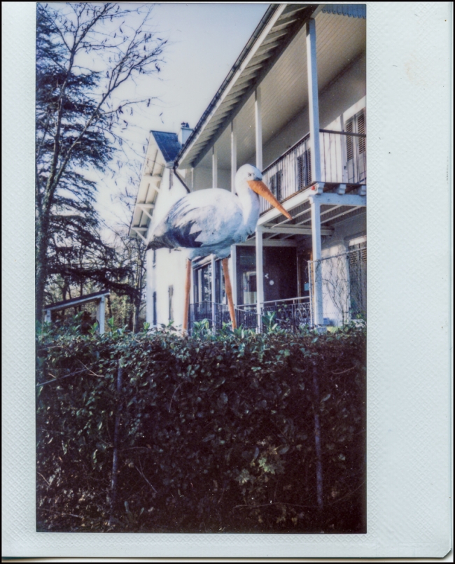 fujiinstax210results-4-of-5