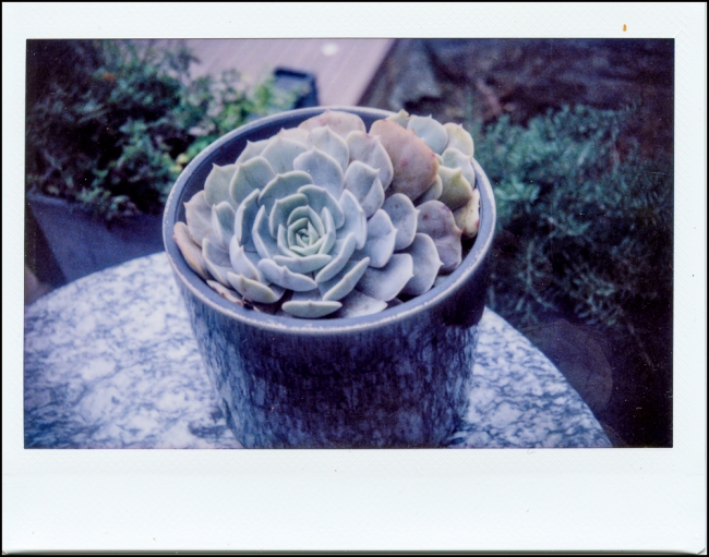 fujiinstax210results-5-of-5