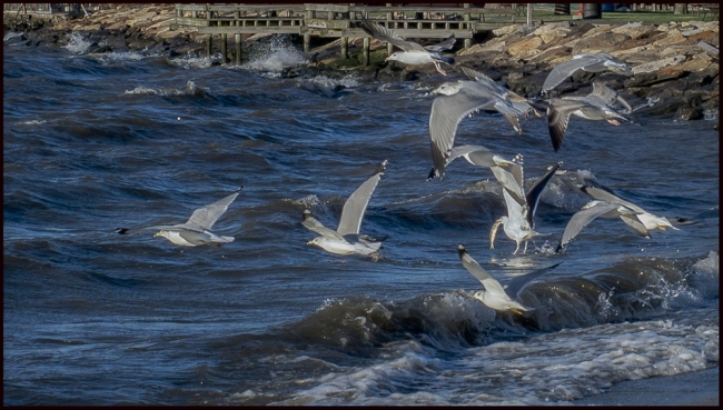 ossiningwaterfront-3