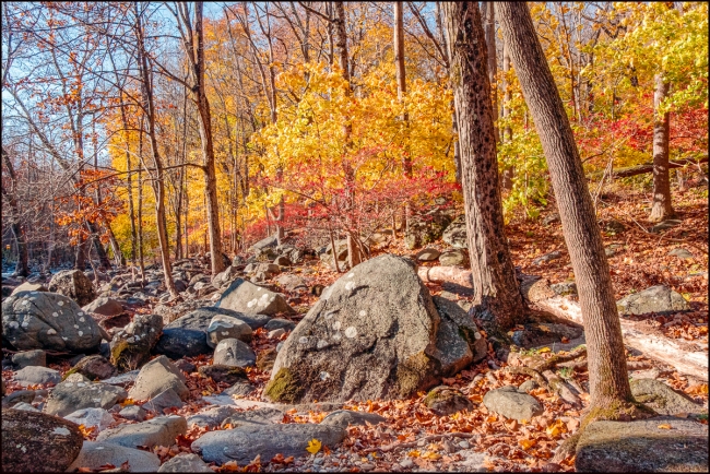 blackrocksilverlake-3