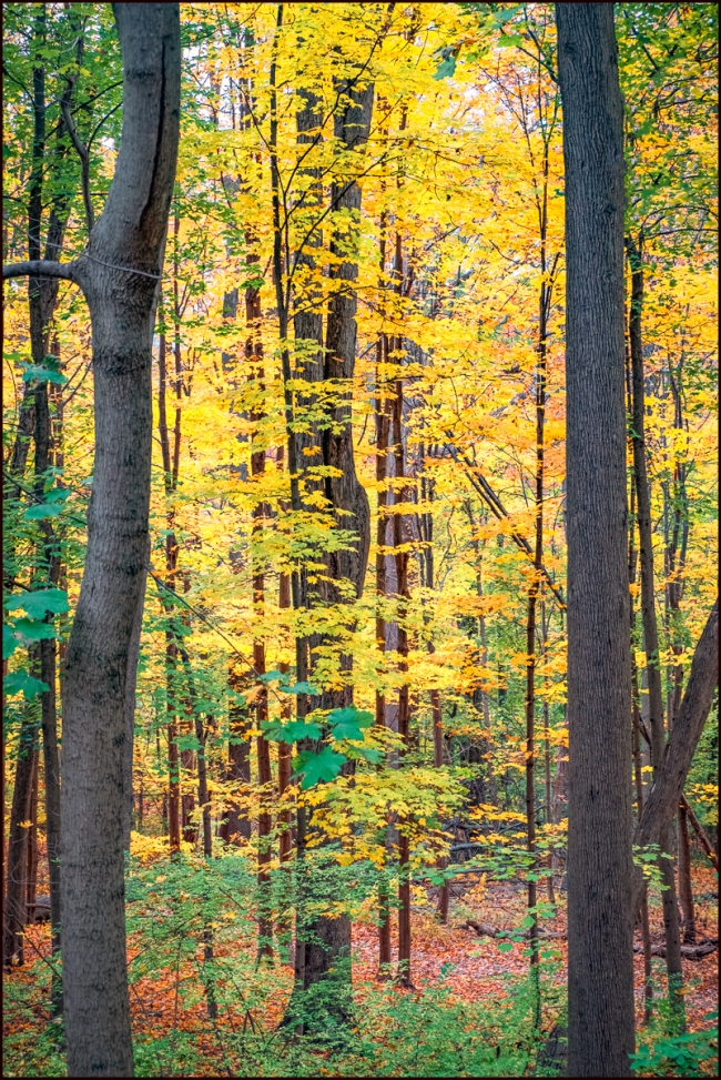 blackrocksilverlake-5