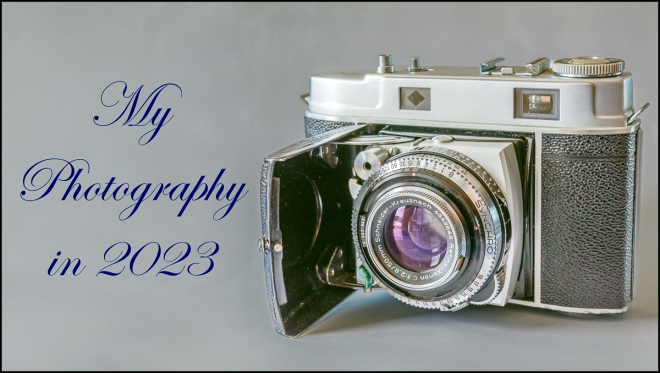myphotography-100-of-1