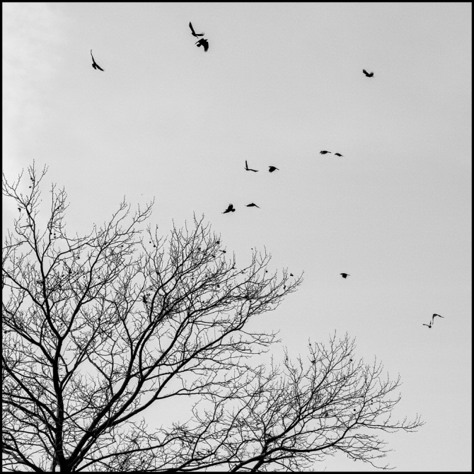 2025favorites-blackandwhite-10-of-12