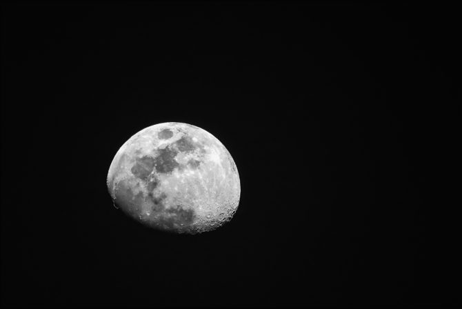 2025favorites-blackandwhite-9-of-12