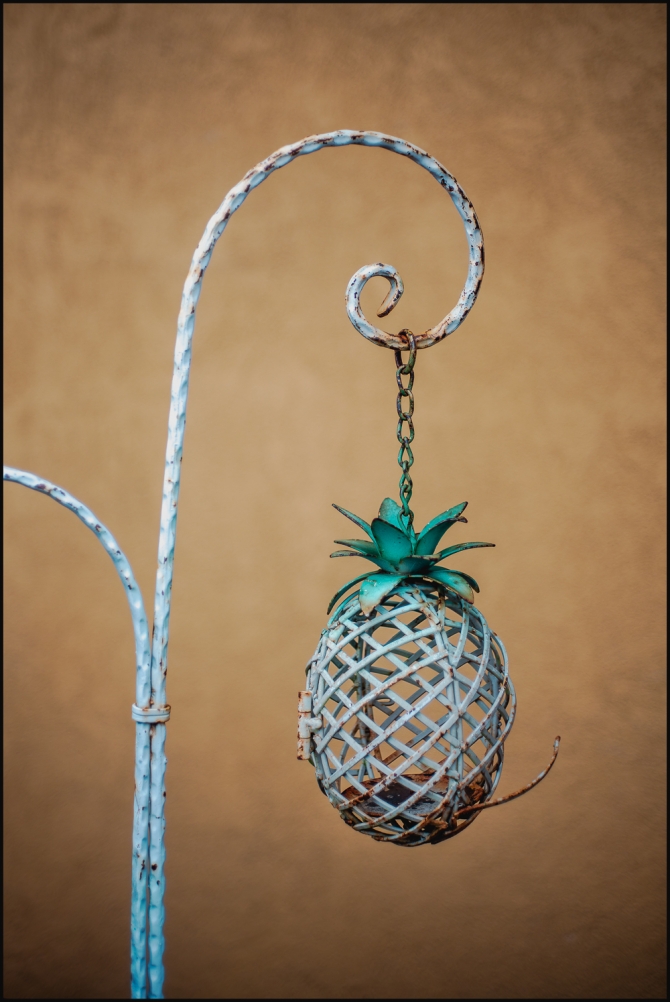 2025favorites-color-11-of-12