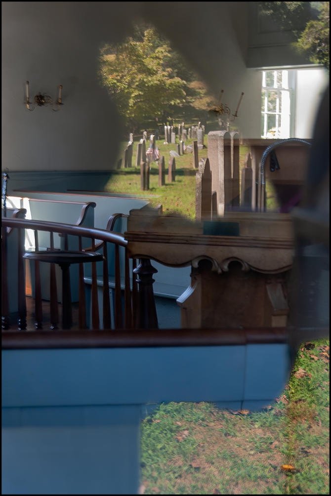 2025favorites-color-4-of-12