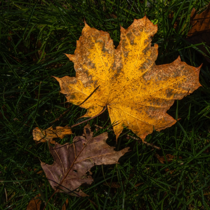 2025favorites-color-9-of-12