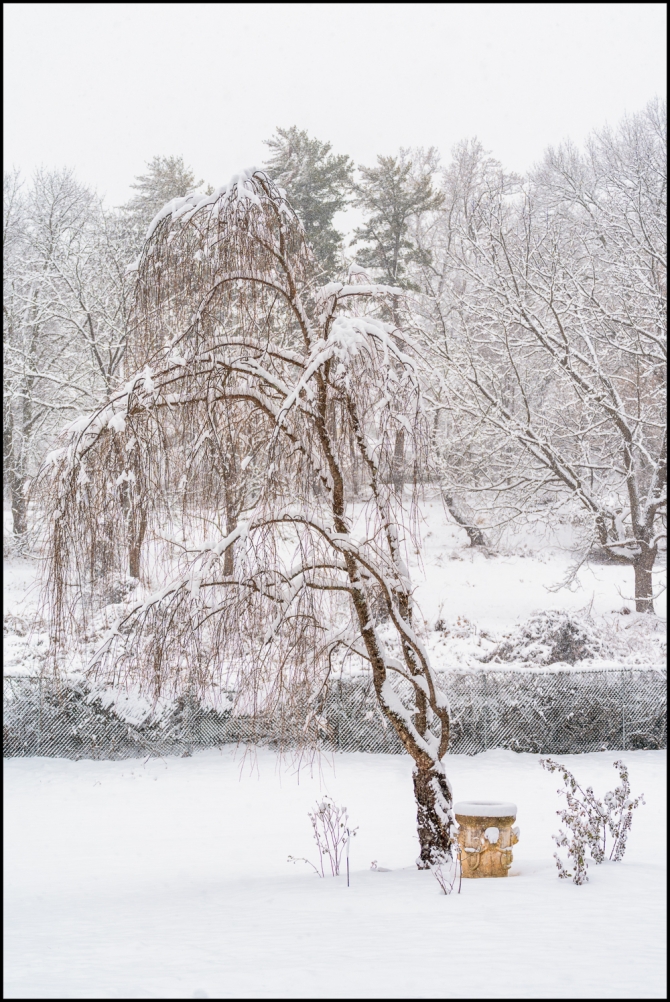 firstsnowoftheseason-1-of-14