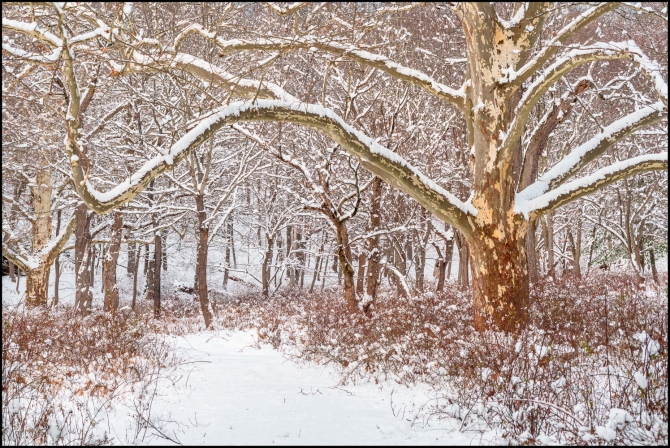 firstsnowoftheseason-10-of-14