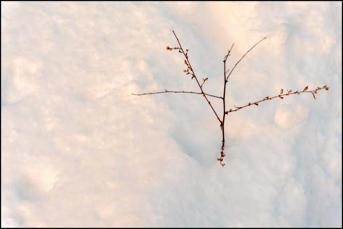 firstsnowoftheseason-11-of-14