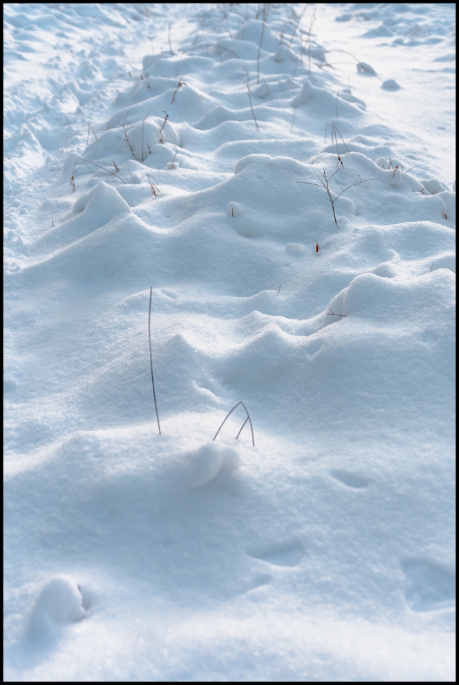 firstsnowoftheseason-12-of-14