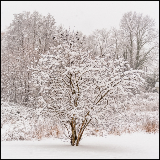 firstsnowoftheseason-2-of-14