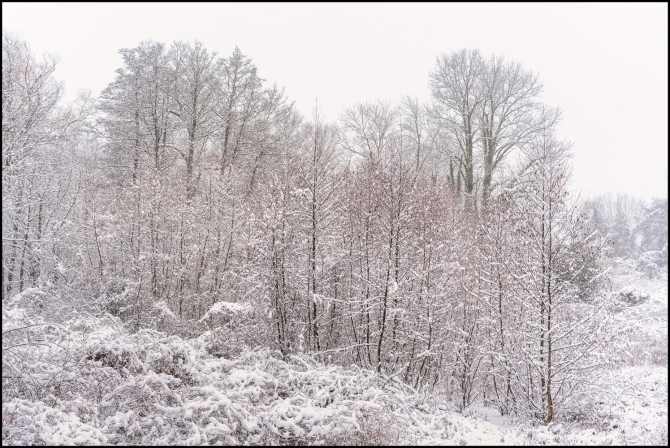 firstsnowoftheseason-3-of-14