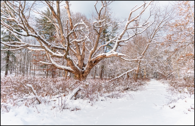 firstsnowoftheseason-6-of-14