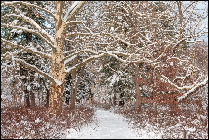 firstsnowoftheseason-7-of-14