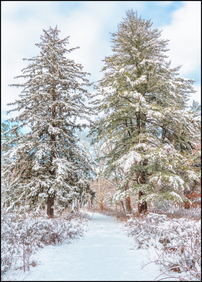 firstsnowoftheseason-9-of-14