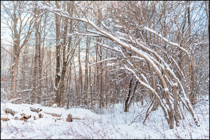 firstsnowoftheseason2-1-of-2