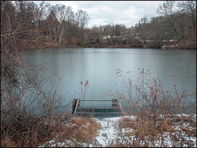 aroundtheneighborhoodtheclub-3