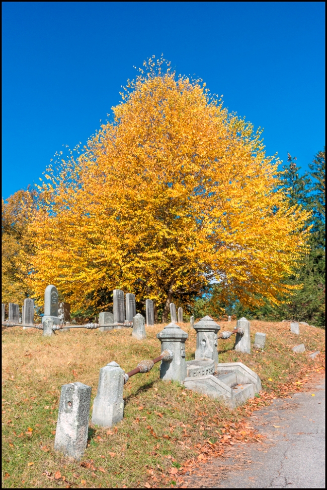 sleepyhollowadditional-1-of-5