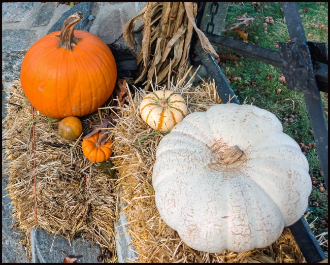 sleepyhollowadditional-3-of-5