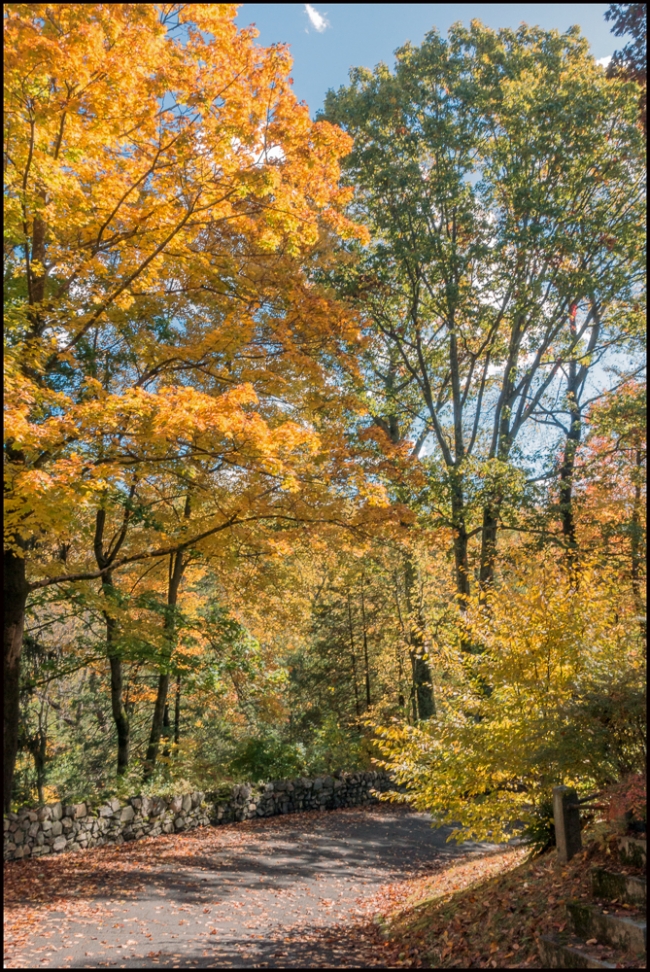 sleepyhollowadditional-5-of-5