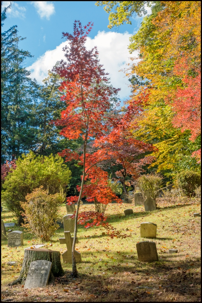 sleepyhollowinfallimpressivefallcolors-1-of-1