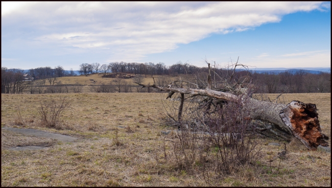 roadtoravenrockdeadtree-1
