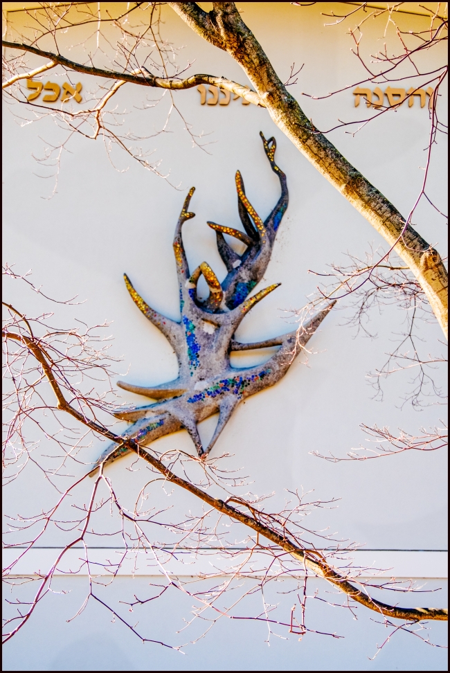 dobbsferrygreenburghhebrewcenter-4