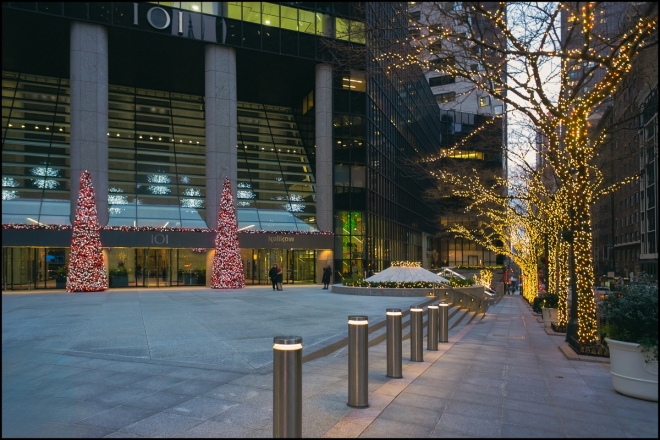 christmaslights-1-of-3