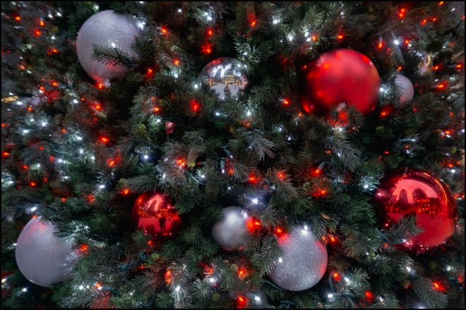 christmaslights-3-of-3