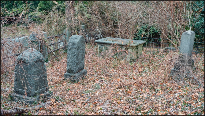 beforethewnow-4-of-11