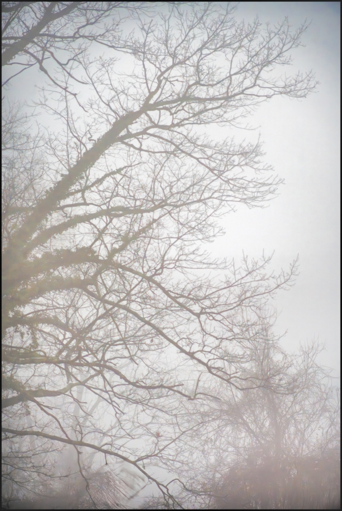 foggydayphotogs-3-of-6