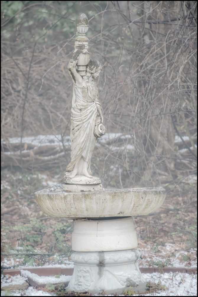 foggydayphotogs-5-of-6